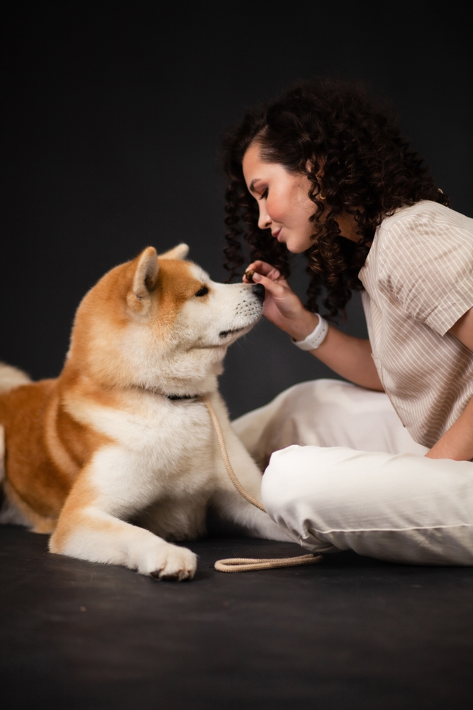 Why Rescue and Adoption Matters